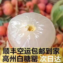 海南妃子笑荔枝新鲜现摘现发大果夏季水果顺丰礼盒白糖5斤整箱罂