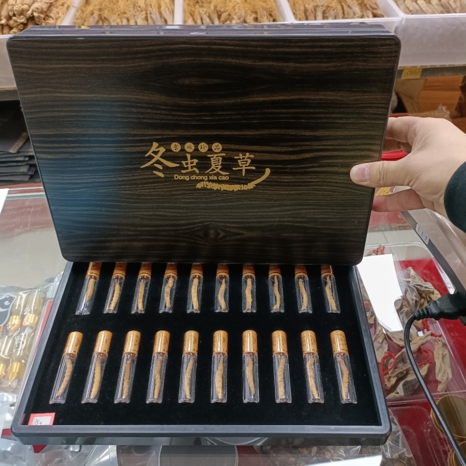 西藏那曲冬虫夏5克草只卖特大个冬虫夏草礼盒礼品滋补品品-阿里巴巴