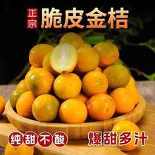 【爆甜】广西脆皮金桔小金桔5斤新鲜水果当季橘子砂糖桔滑皮金桔
