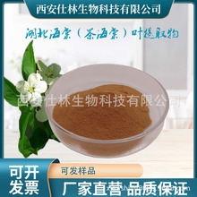 湖北海棠叶提取物10:1食品级茶海棠萃取浓缩粉厂家直供可散装水溶