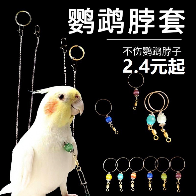 鹦鹉脖套不锈钢玄凤牡丹虎皮栓鸟链遛鸟放飞训练脖圈带链子不生锈