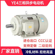 YE4高效三相异步电动机 4级卧式B3 5.5KW 7.5KW 18.5KW 30KW 55KW