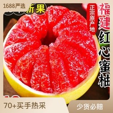福建平和琯溪红心柚子新鲜水果红肉蜜柚孕妇当季整箱红柚整箱蜜柚