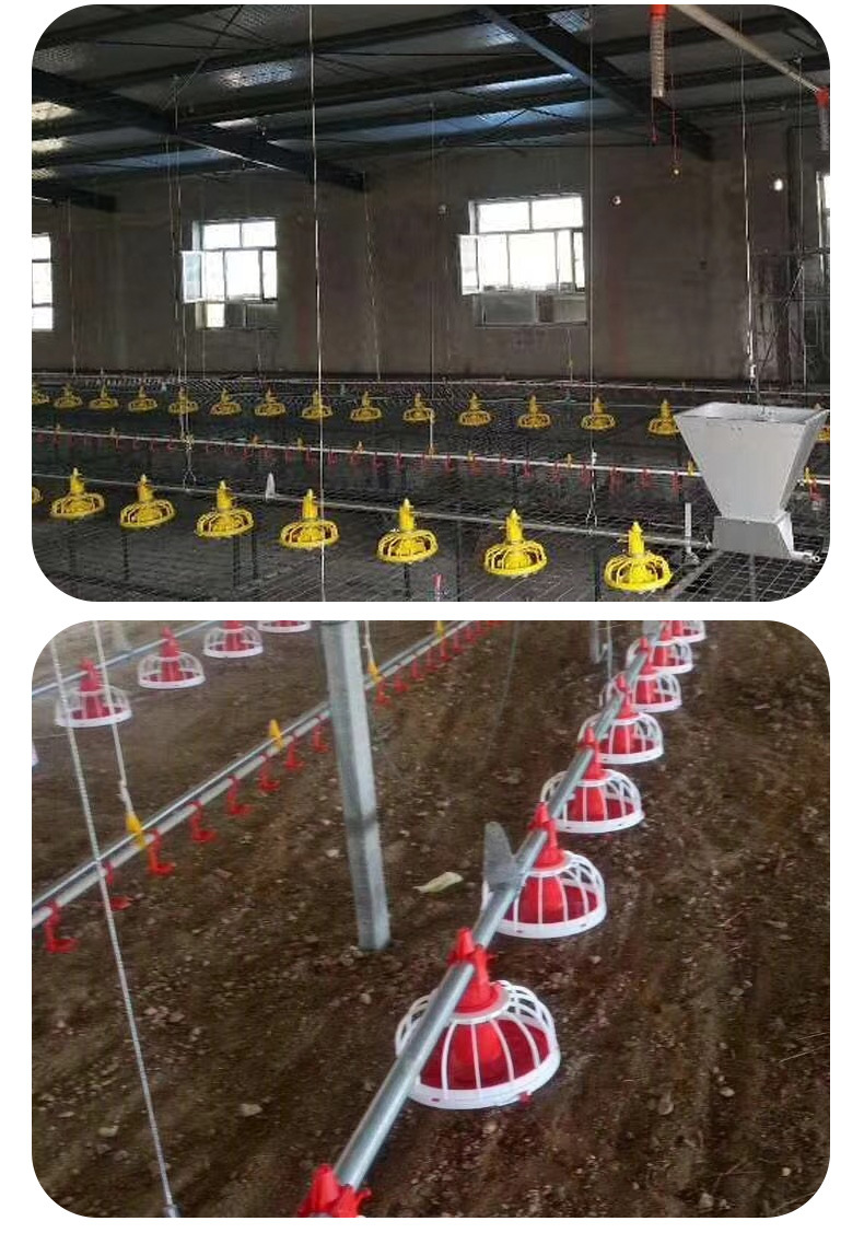 自动化水线料线养殖场全自动水线料线养鸡场水线料