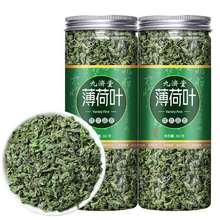 薄荷叶泡水新鲜薄荷茶干薄荷叶茶食用清凉可搭配胎菊柠檬片罐装