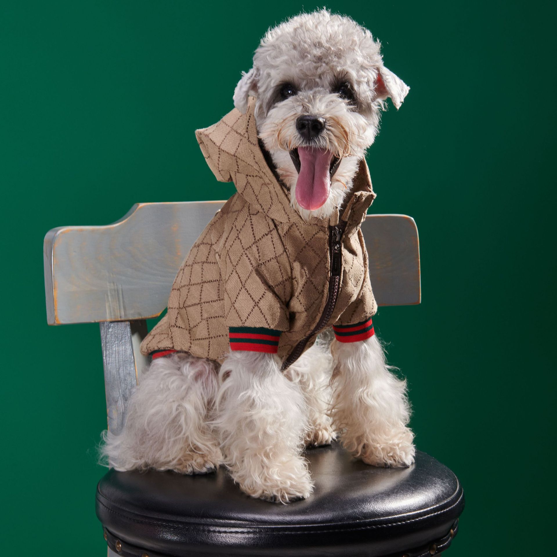 外贸秋冬款宠物夹克拉链帽衫外套泰迪比熊雪纳瑞法斗小狗狗衣服装