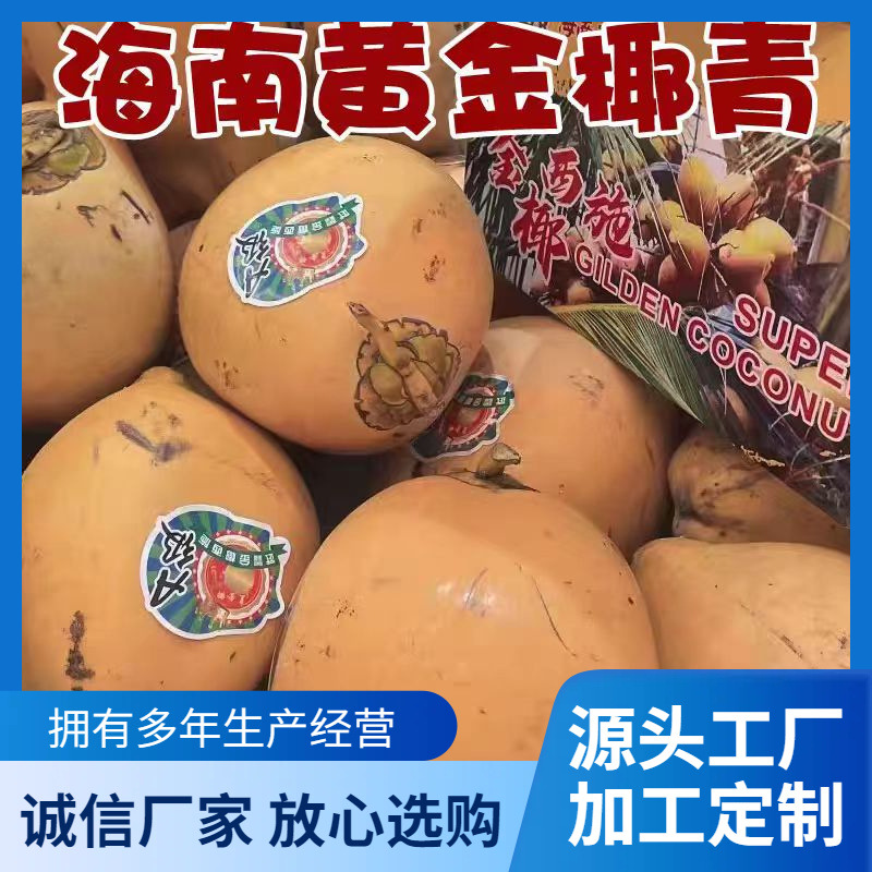 ll助农海南三亚黄金椰奶椰子新鲜水果红椰9个装包邮现摘带皮送开