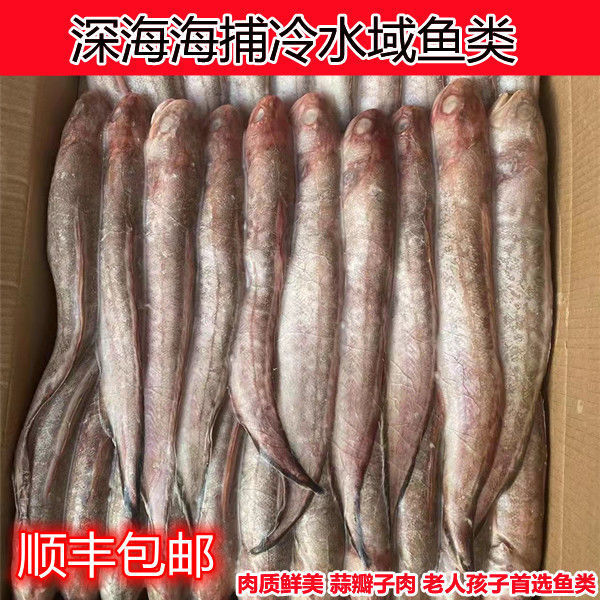 深海凤尾鱼新鲜速冻凤尾鱼深海海捕凤尾鱼香煎凤尾鱼整箱批发【15
