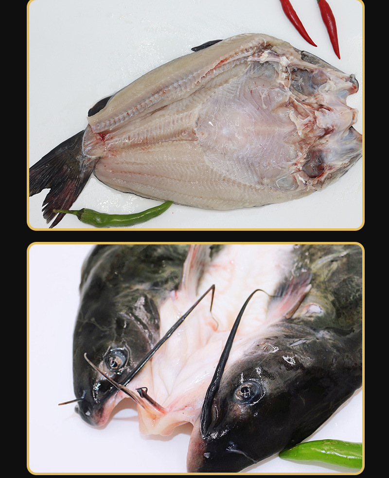 活鱼现杀直供烤鱼开背冷冻黑鮰鱼腌制清江鱼供烤鱼烧烤店工厂批发