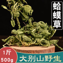 正宗蛤蟆草500g蛤蟆草干的 草癞蛤蟆草 非野生新鲜荔枝草雪见草