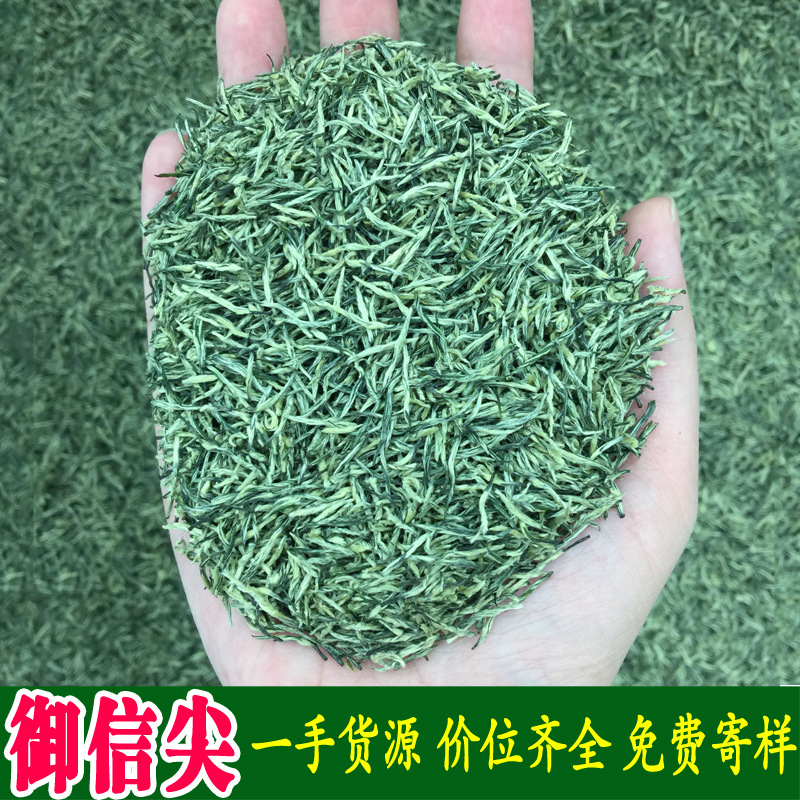 2024年新茶送礼云雾炒青散装绿茶茶叶批发信阳工艺御信尖毛尖茶