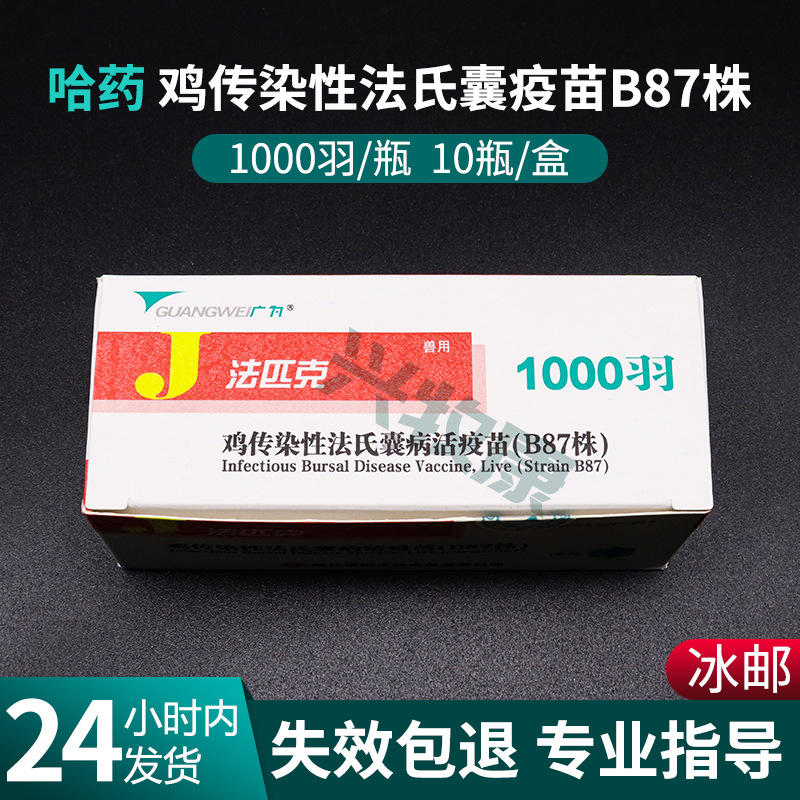 鸡法氏囊疫苗鸡传染性法氏囊病活疫苗b87株预防鸡法氏囊疫苗1