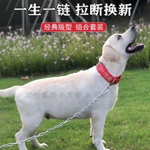 狗链子牵引绳土狗铁链小狗链子农村看家狗中型犬脖套大型犬铁链子