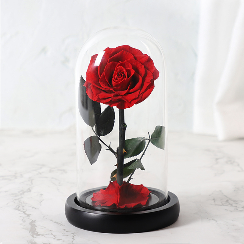 跨境永生花小王子成品玫瑰花玻璃罩礼盒生日情人节送女友创意礼品