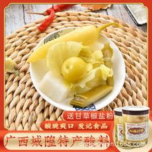 玉林酸料 城隍发记甜酸什锦480g*2瓶 广西酸野泡水果腌酸泡菜酸嘢