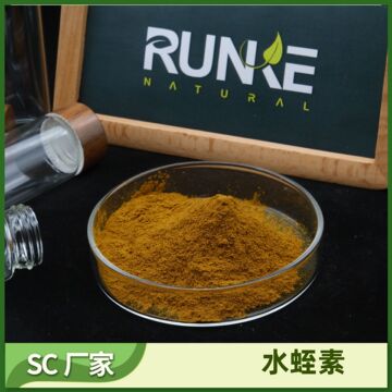 水蛭素800atu/g活性单位 菲水蛭冻干粉 牛蛭蚂蟥提取物 10g/包邮