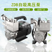 卧式自吸不锈钢旋涡电泵1ZDB-65S耐酸碱抽液泵农用灌溉给排水泵