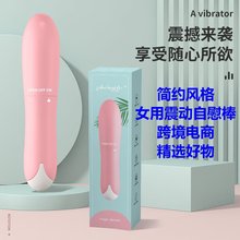 按摩女用自慰震动棒小乐棒成人情趣振动 性用品亚马逊跨境电商批