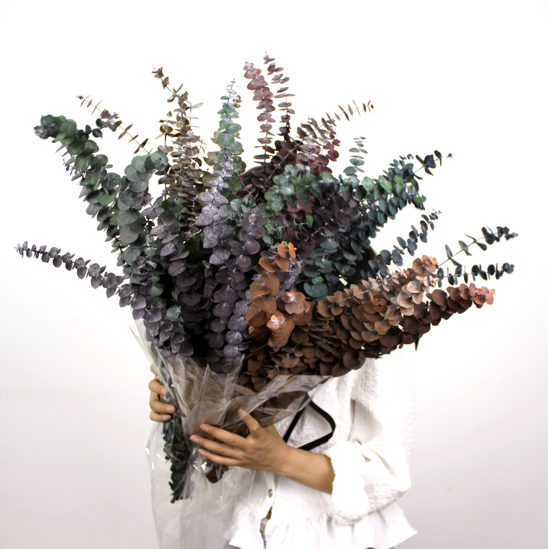 永生尤加利叶干花配材 桉树铜钱叶网红家居装饰配材尤加利叶-阿里巴巴