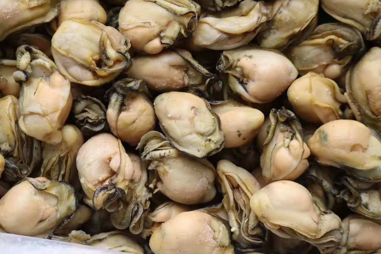 生晒蚝干海牡蛎子蚝豉蚝士干程村蚝肉海味水产干货一件代发500克