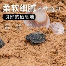 乌龟冬眠孵化用细河沙鱼缸装饰造景底砂草龟鳄龟龟下蛋用砂子