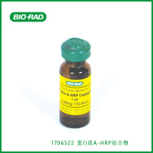 伯乐Bio-Rad 1706522 蛋白质A-HRP结合物