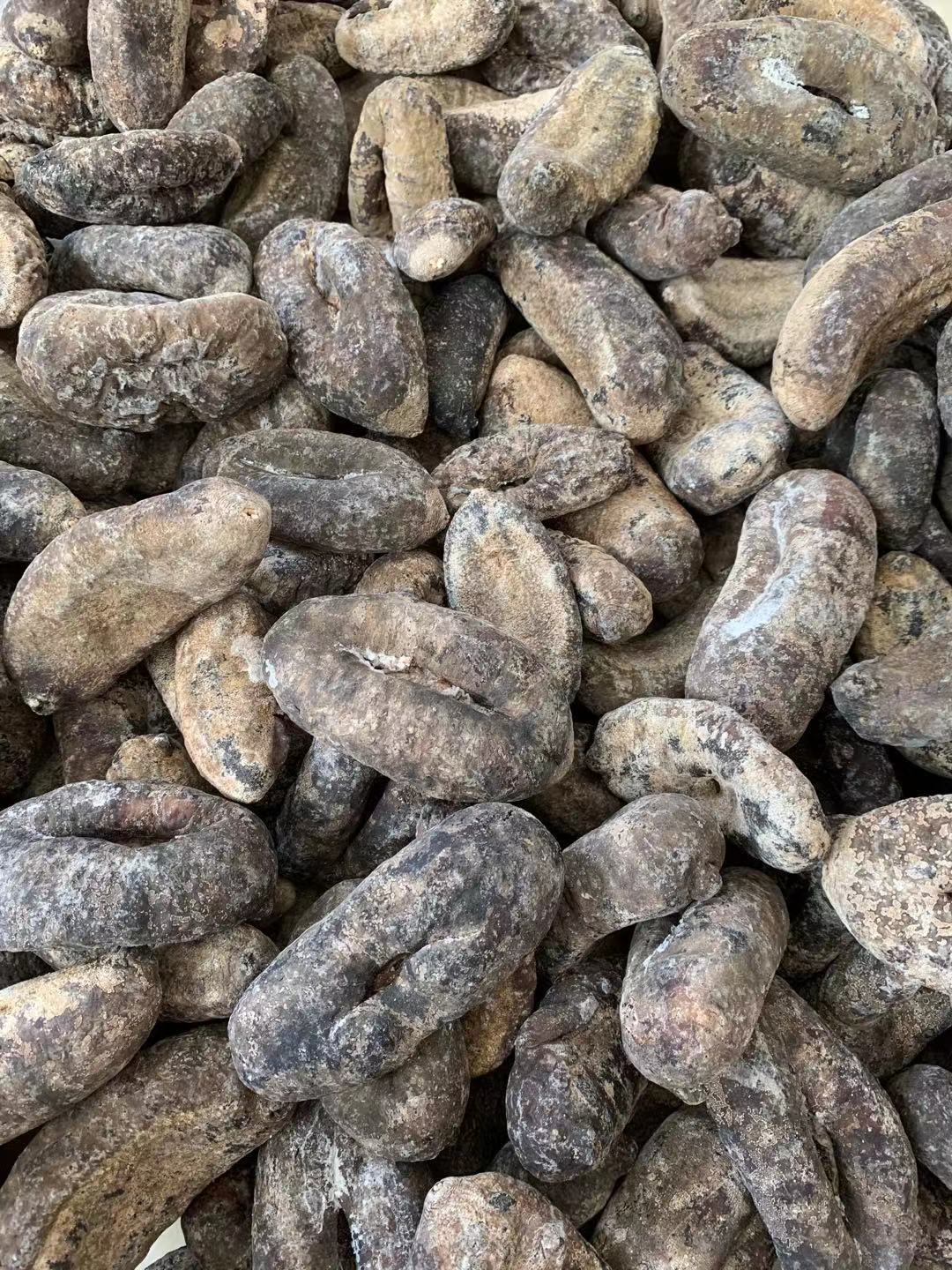 大乌圆参 乌仁参 乌元参2-3头肉厚足干淡干 海参批发500g 品质好