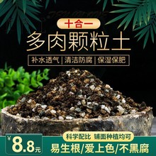 多肉颗粒土专用十合一八合一营养土麦饭石铺面石肥料植物育苗通用