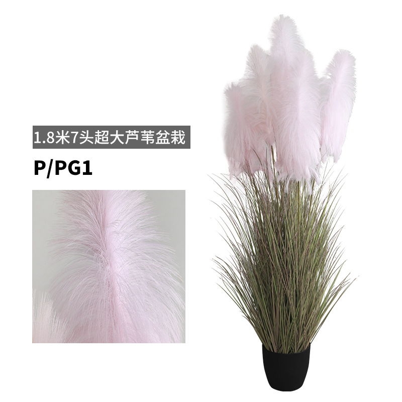 Studio Photography Props Simulation Onion Grass Potted Plant Living Room Home Ornaments Simulation 1.8 M 7-Head Reed Bonsai