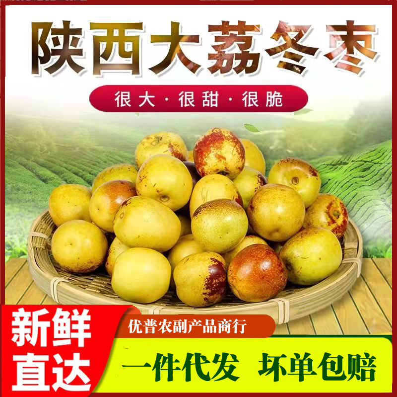 山东沾化冬枣新鲜大果枣子5斤当季大枣青枣孕妇水果包邮甜脆鲜枣