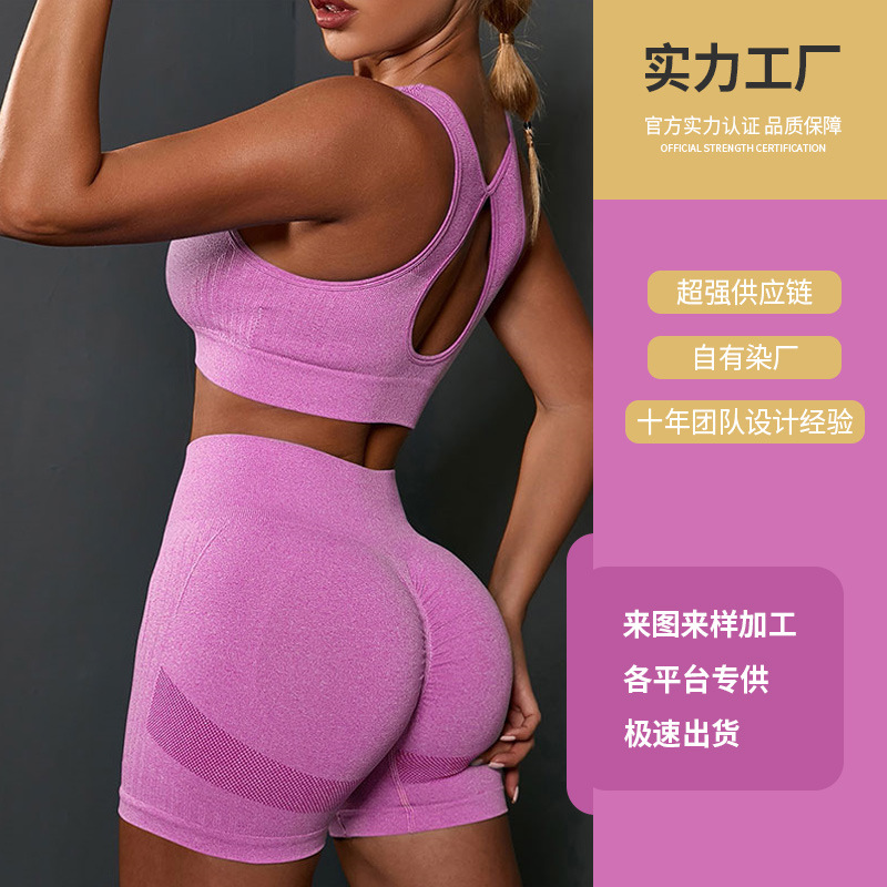 Factory Customized European and American Seamless Knitted Yoga Suit Sexy Hip Lifting Fitness Sports Back Shaping Bra Yoga Pants