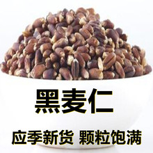 新鲜黑麦仁500克/1斤产地直供应季新货颗粒饱满搭配早餐杂粮粥