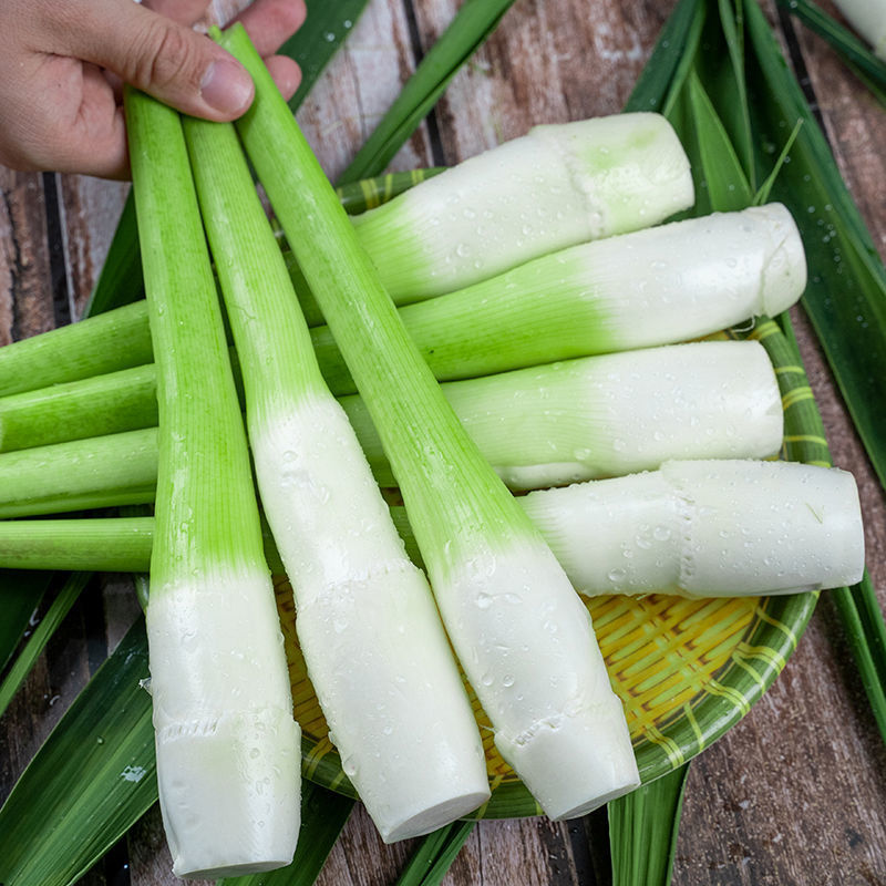 5斤现摘新鲜茭白高笋茭瓜水笋鲜嫩笋新鲜蔬菜营养食谱农产品