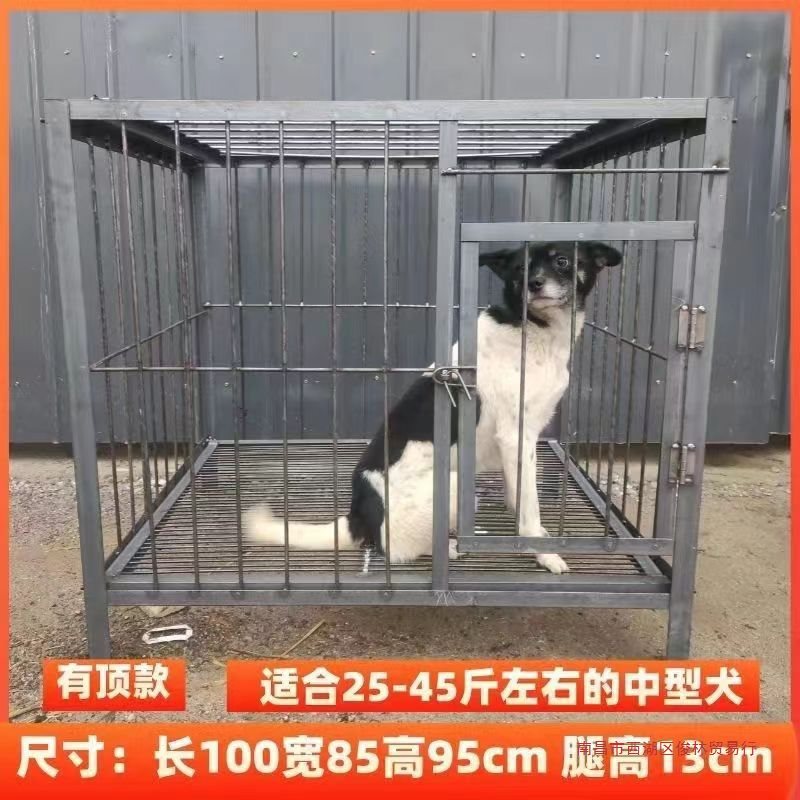 中小型犬狗笼角钢实心钢筋室外室内狗场马犬宠物笼子加粗新款家用