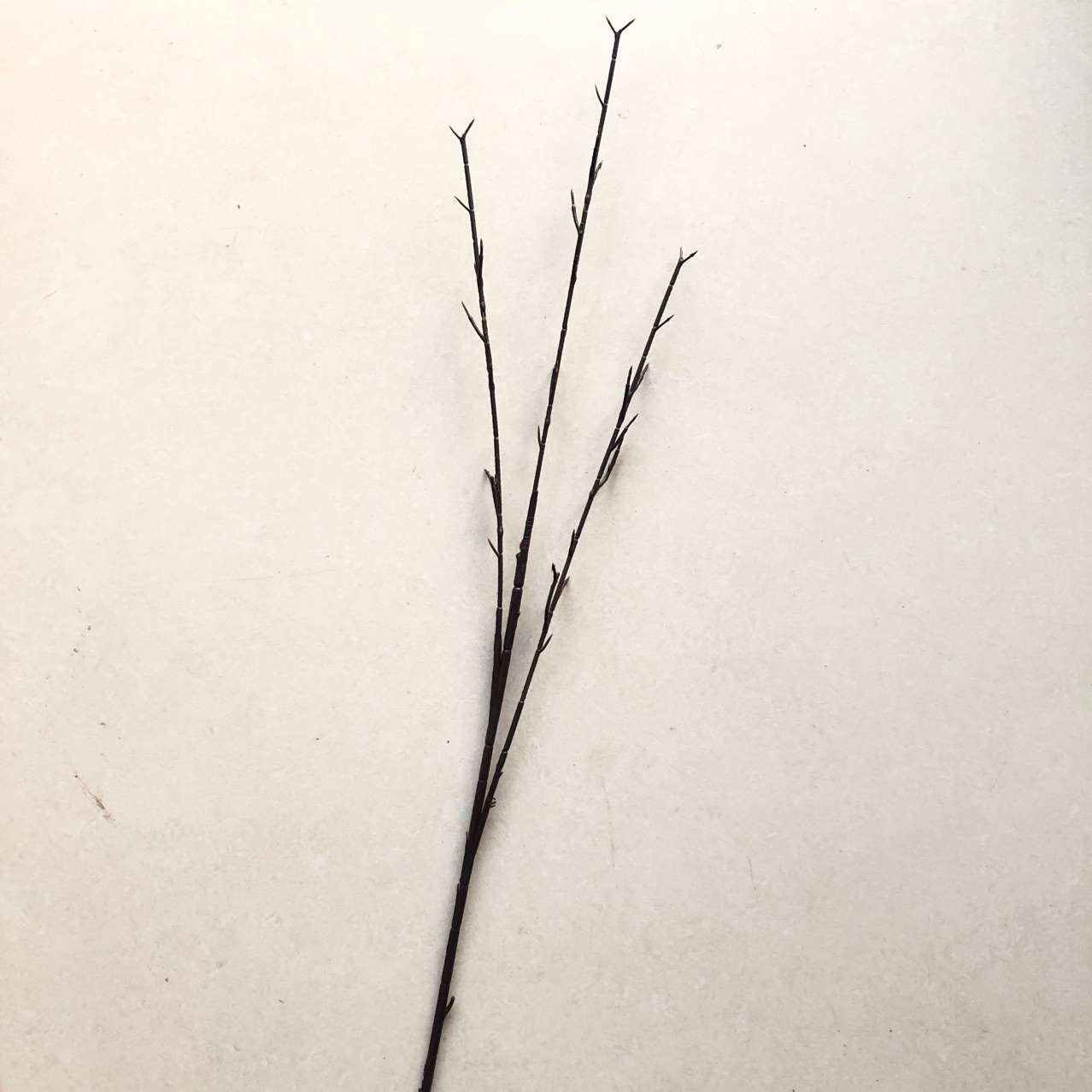 1米3叉樱花枝33插位仿真植物花杆花枝树干棕色手工花束枝杆仿真花