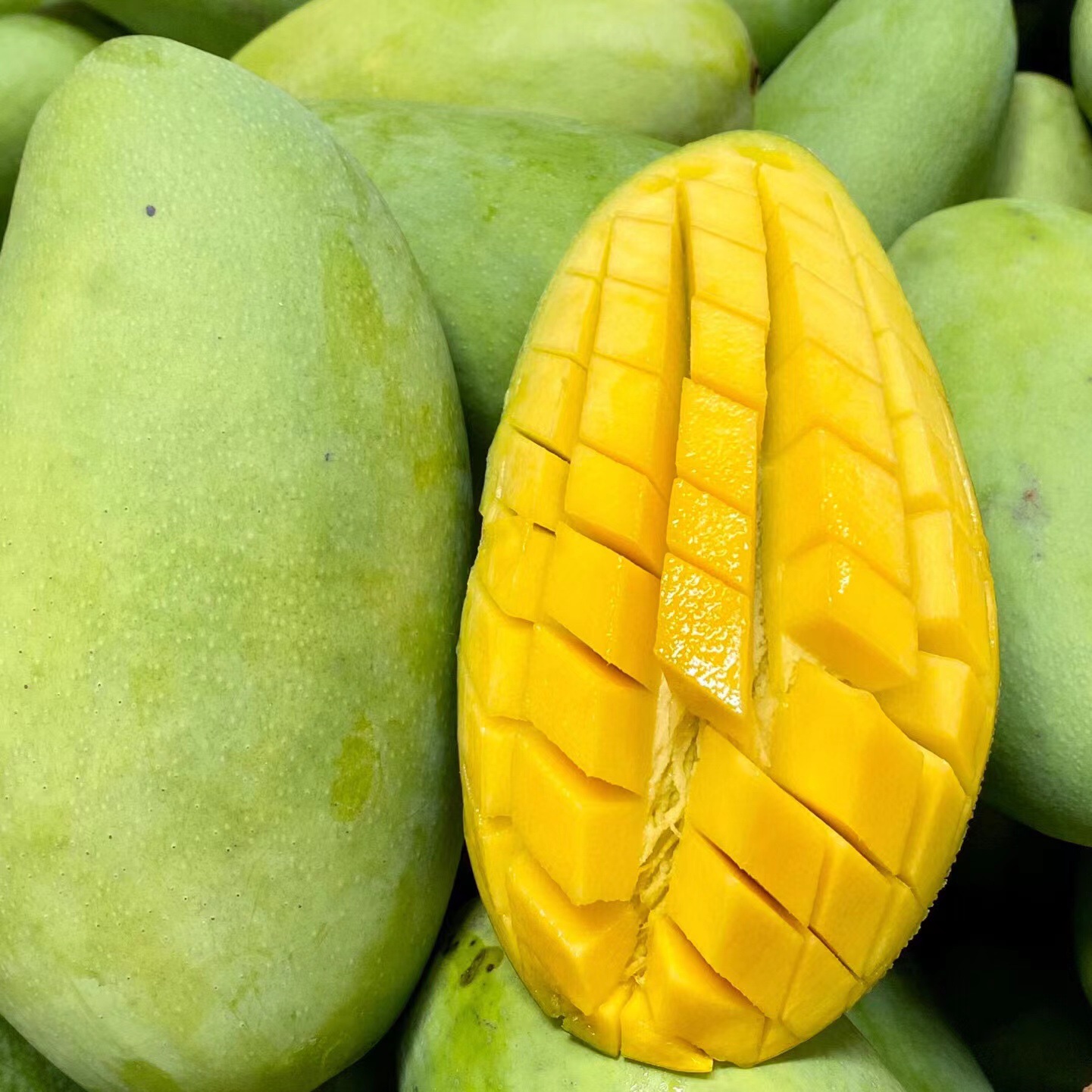 『云南大青芒』精选品质青皮大脸芒新鲜现摘芒果当季水果大金煌芒