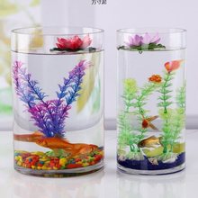 玻璃花瓶透明加厚直筒圆柱形玻璃大小办公桌水培热带鱼缸一体批发