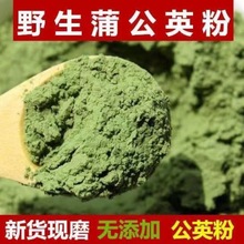 蒲公英粉超细粉纯蒲公英整根粉末新疆特级纯天然野生中药材茶冲饮