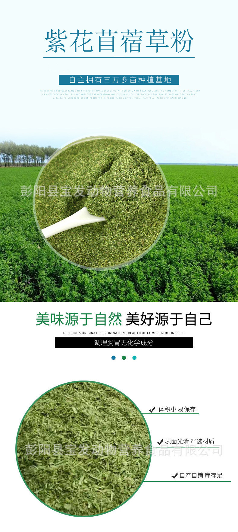 紫花苜蓿草粉 牦牛羊牧草饲草