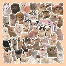 63张异形狗狗猫咪贴纸 可爱写实小猫ins韩系风手机壳平板小贴画