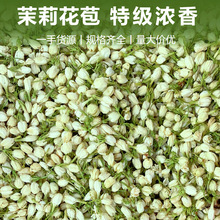 广西茉莉花苞新货茉莉花干茶特级浓香型开花茉莉批发花果茶花茶