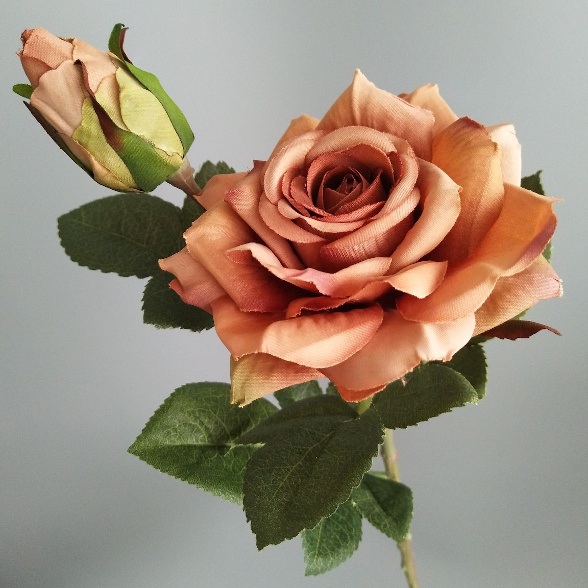 2头秋色卷边玫瑰角玫瑰婚庆拍照装饰布景家居配饰仿真花假花绢花