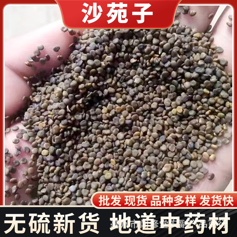 沙苑子中药材大货 沙苑籽 沙苑子粉 沙宛籽 沙宛子 中药材沙苑子