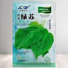 绿苏子种子四季可食用大叶东北苏子叶调味料野菜驱蚊盆栽蔬菜种子