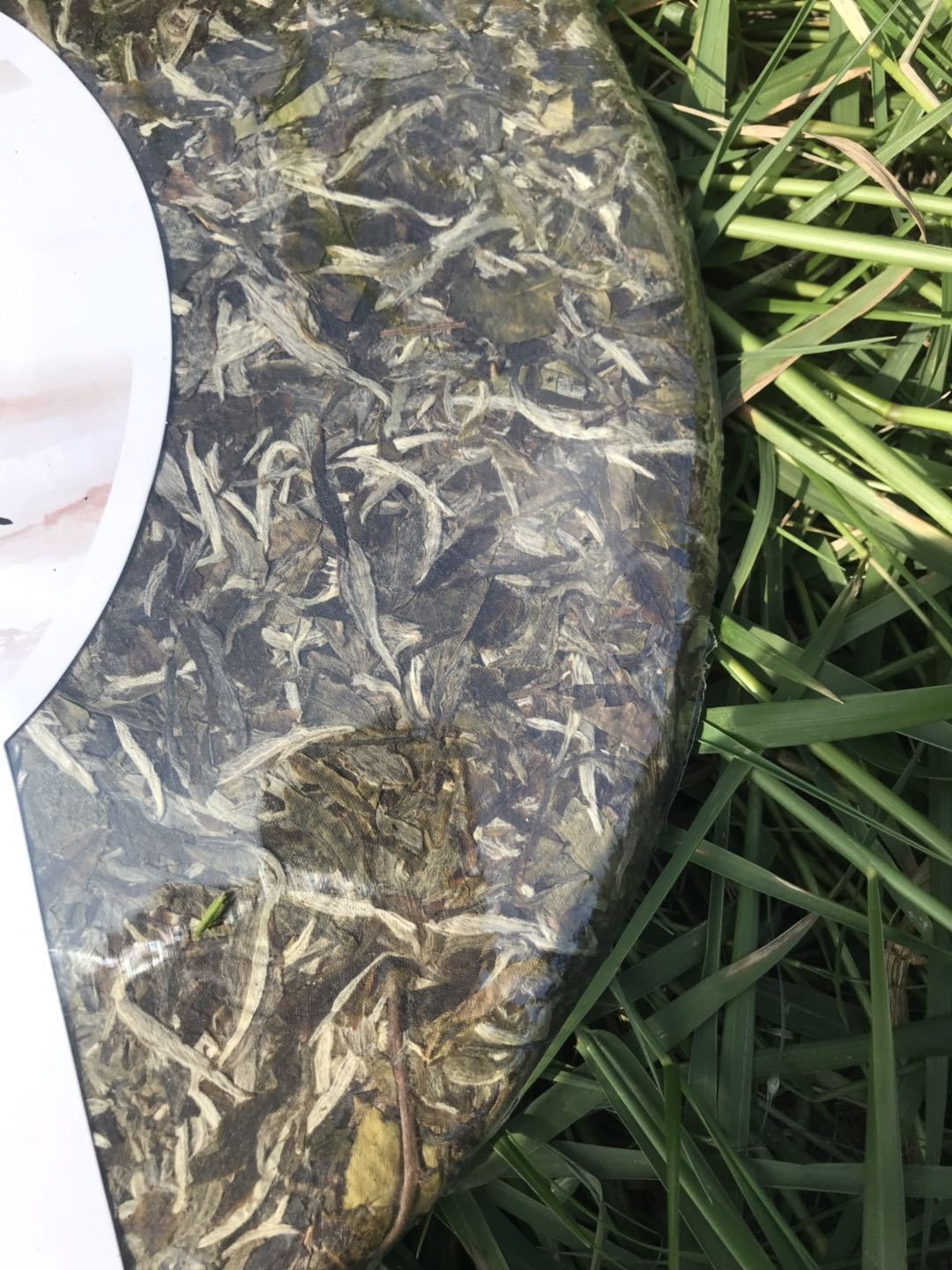 2019年福建白茶6斤大饼茶福鼎的白茶白牡丹6斤大饼3000g厂家批发