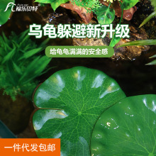 乌龟躲避造景装饰假绿植荷叶鱼缸仿真水草海草海带塑料人造花套餐