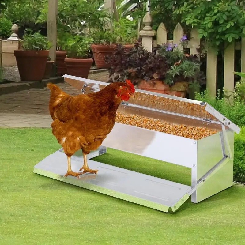 自动喂食器家用鸡食槽养鸡料桶喂鸡槽家禽户外投食器