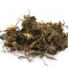 中药材 八爪金龙 500g 野生百两金 八爪龙 八爪根