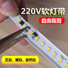 220V high pressure Soft lights ultrathin Patch Light belt With Viscose 10 Inside Arbitrarily Crop 120 Light
