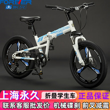 永久牌折叠山地车自行车18/20/22寸青少年学生男女单车折叠式